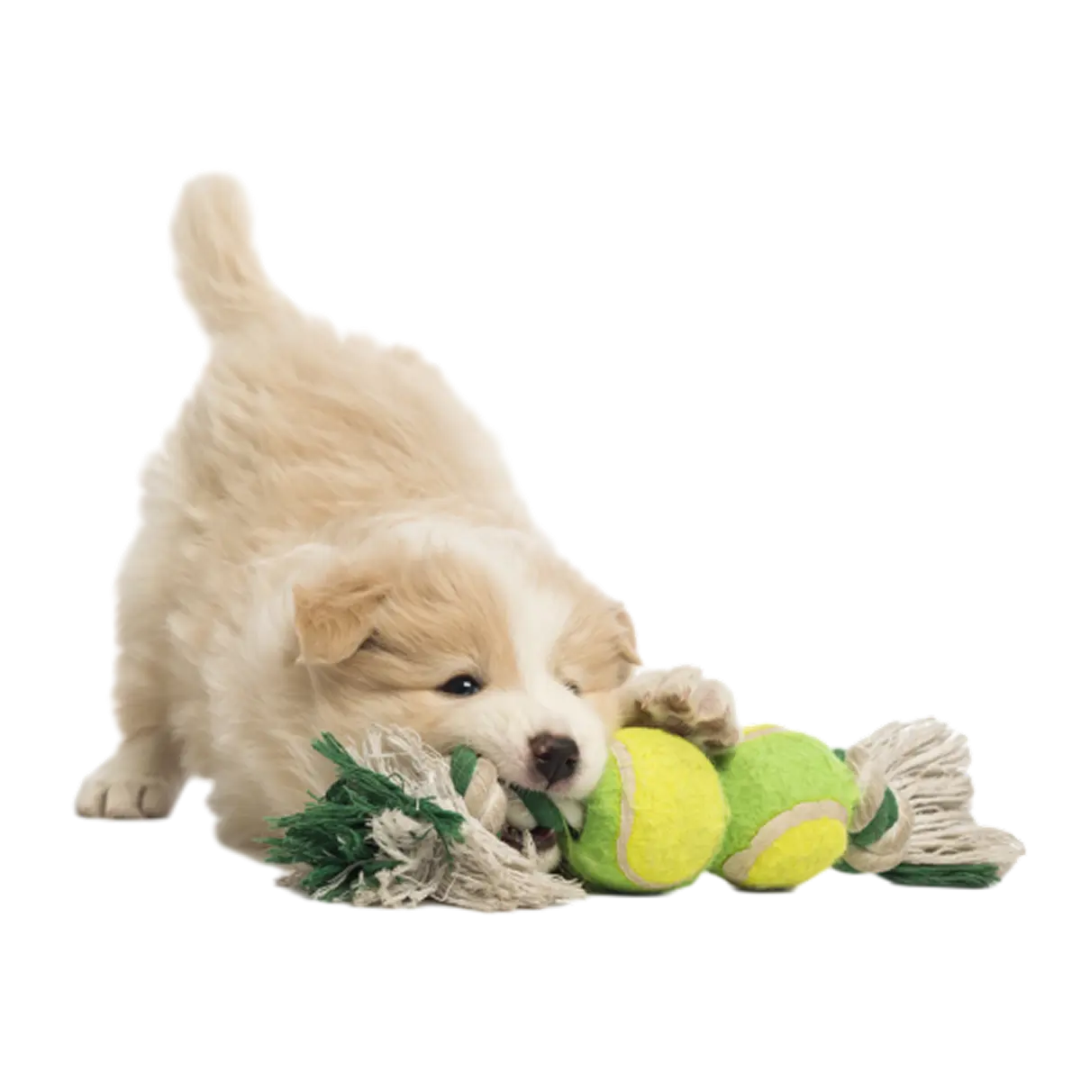 Pets banner img