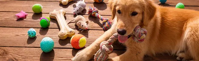 Pets product 1