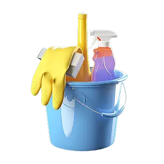 catagory Cleaning